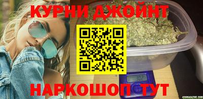 сатива Малгобек